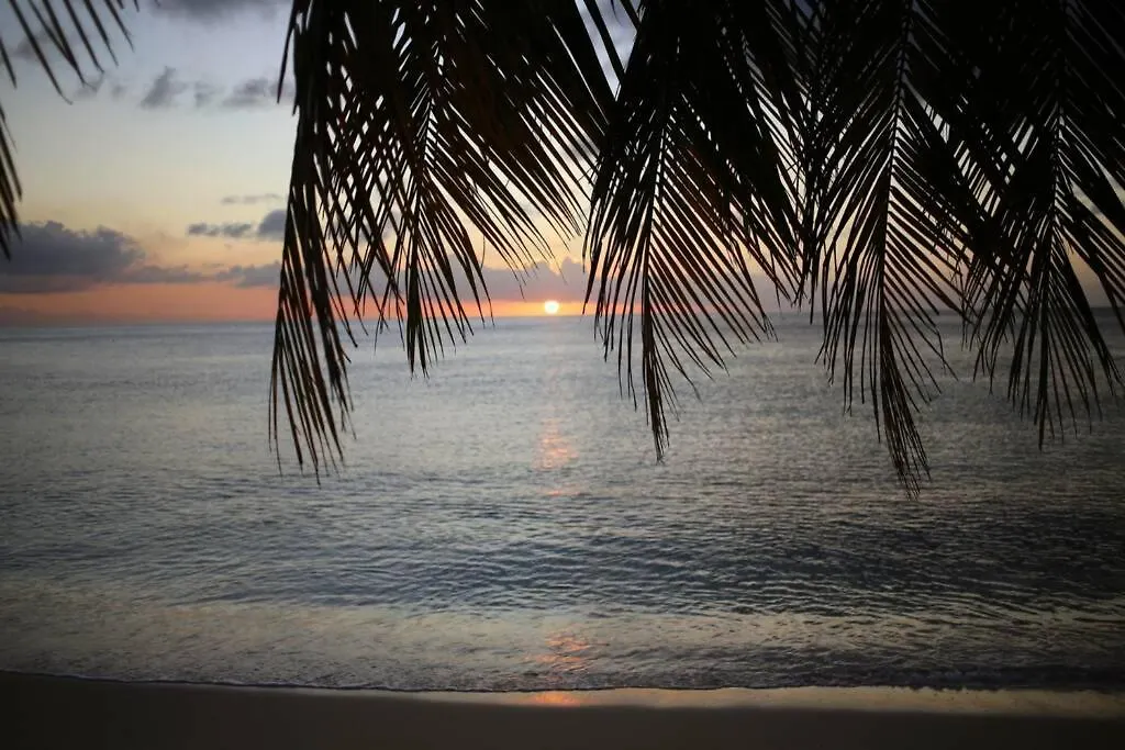 Sea Glass Villa - Spacious 1 Bed, 2 Bath on West Coast Saint James Apartamento